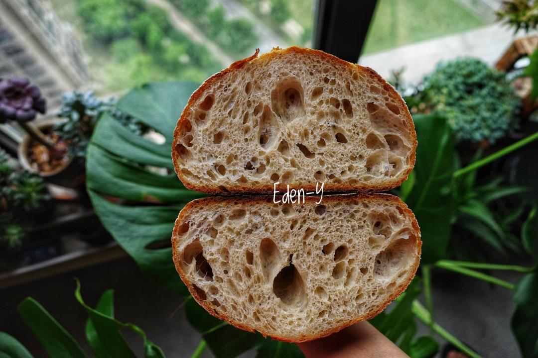 视频教程 天然酵种欧包 基础配方＆制作流程