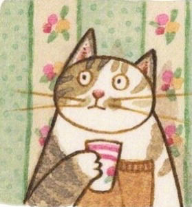 没有小猫咪