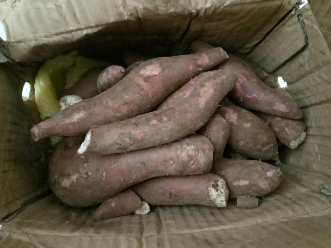 大-松子的评价图片