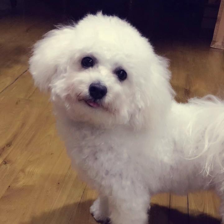 不做作的Jimmy脑湿