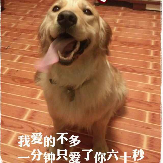 A自由人