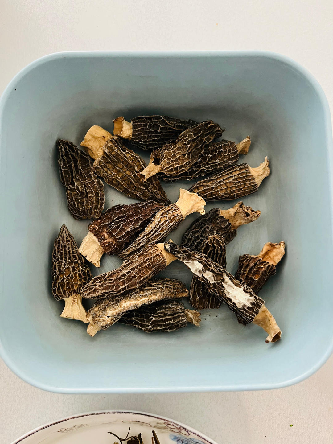 羊肚菌+野生当归➕小花菇炖土鸡汤