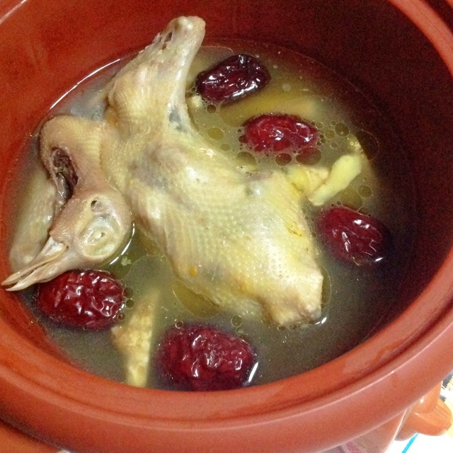 光屁股崽做的炖鸽子汤