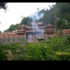 鑫智茶叶