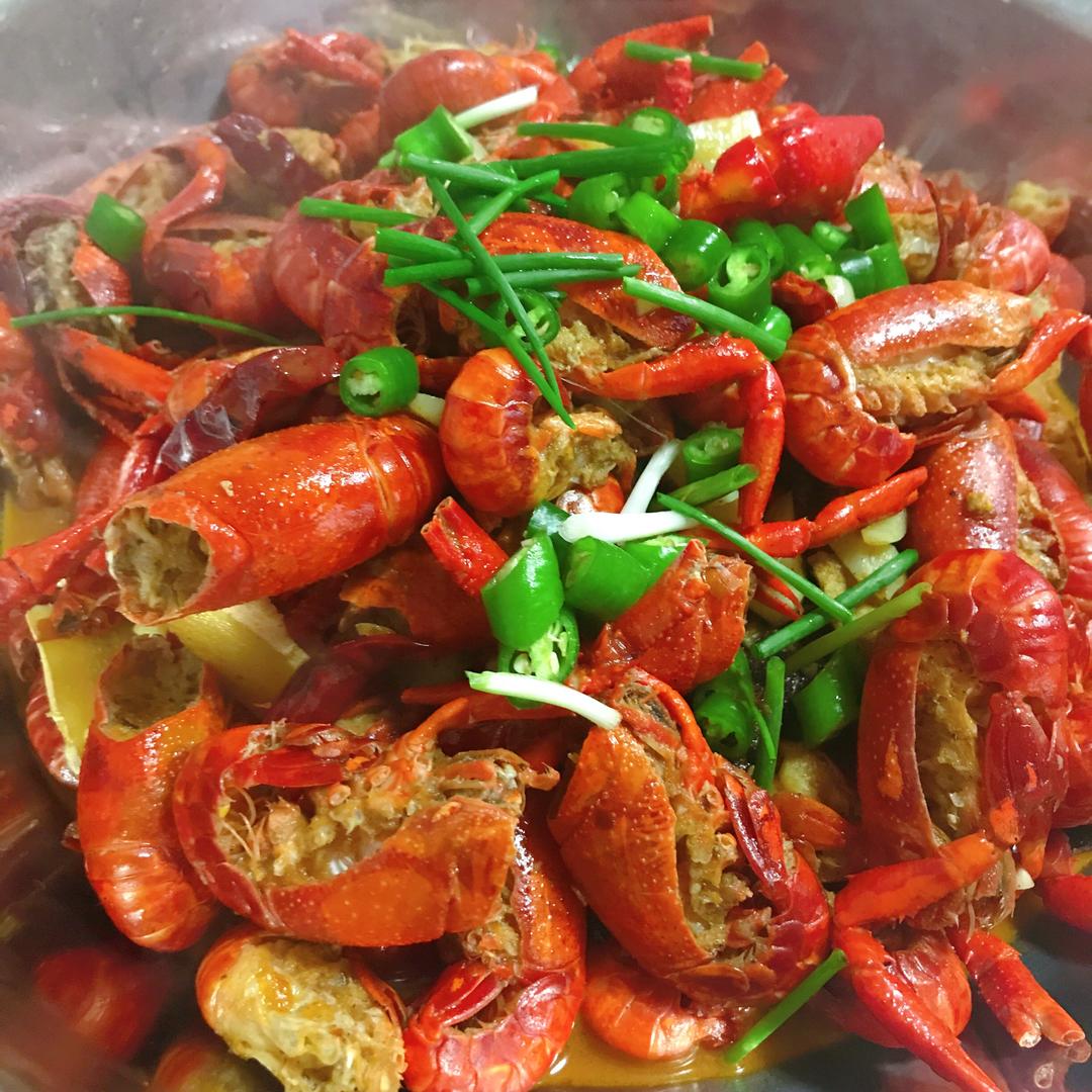 胖鱼杂食