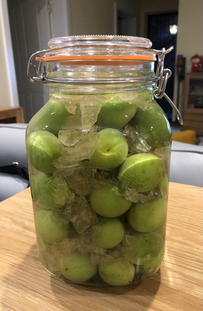 【青梅酒】梅子的沉醉时光（已填坑）