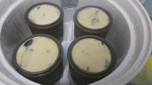新西兰花胶牛奶羹(过程中两种口味)的做法 步骤7