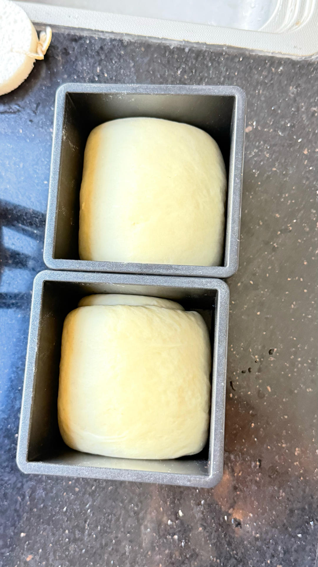 🍞10X10水立方｜可爱小吐司｜经典白吐司