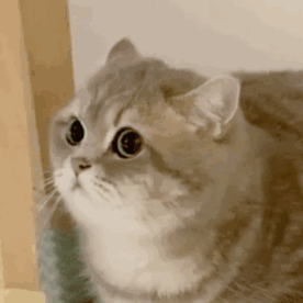 空气炸锅版纸杯蛋糕🎂