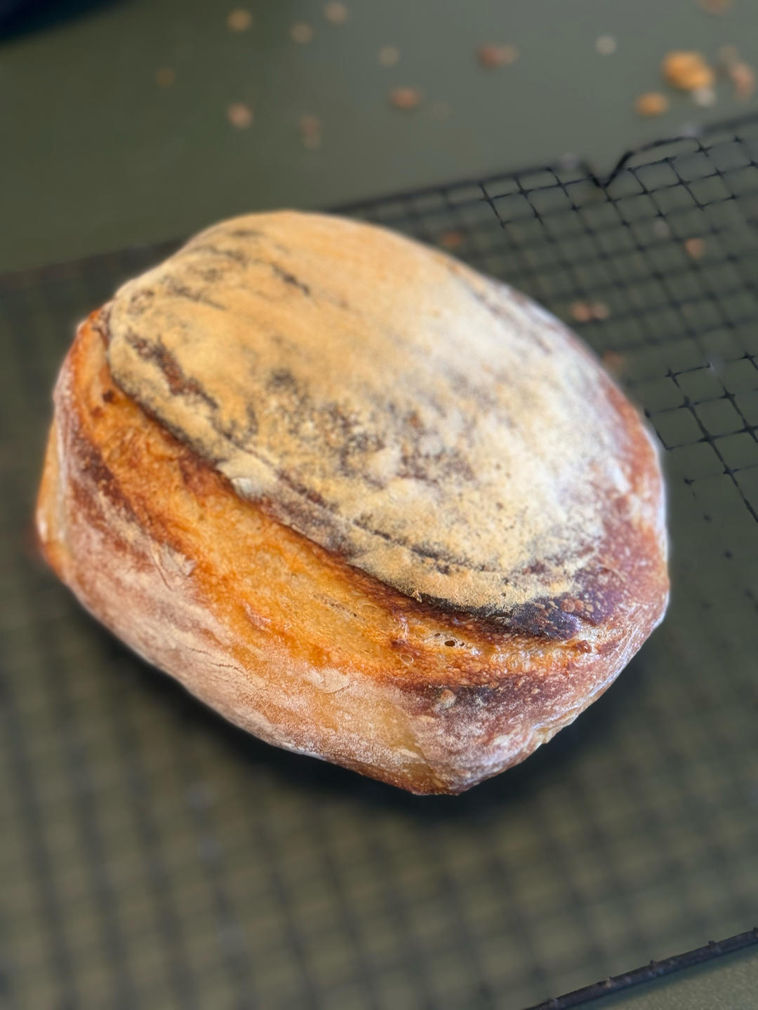 天然酵种鲁邦种硬欧包Sourdough Bread