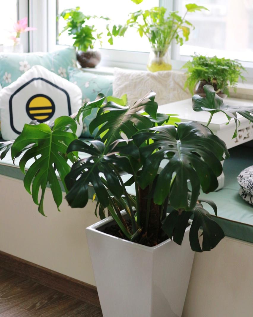 生活中的小确幸……