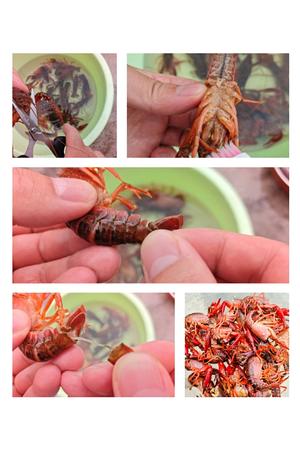 夏日里的香辣小龙虾的做法 步骤2