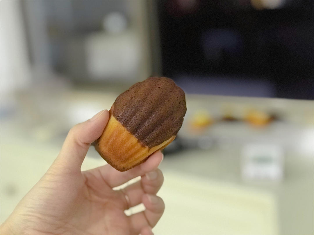 玛德琳（蓝带方）