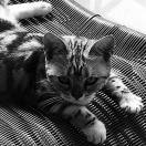 手机用户7715_bu0d