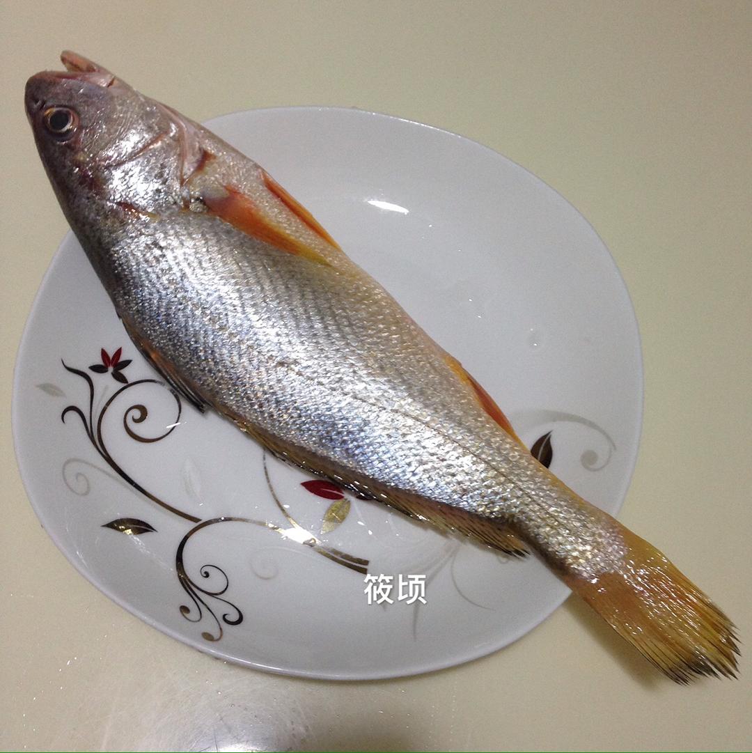 学名:小黄鱼,本地摊网话叫中鱼,学名:大黄鱼,本地摊网话叫红瓜鱼.