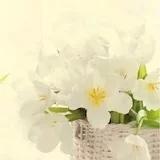 湫咪湫咪么么哒