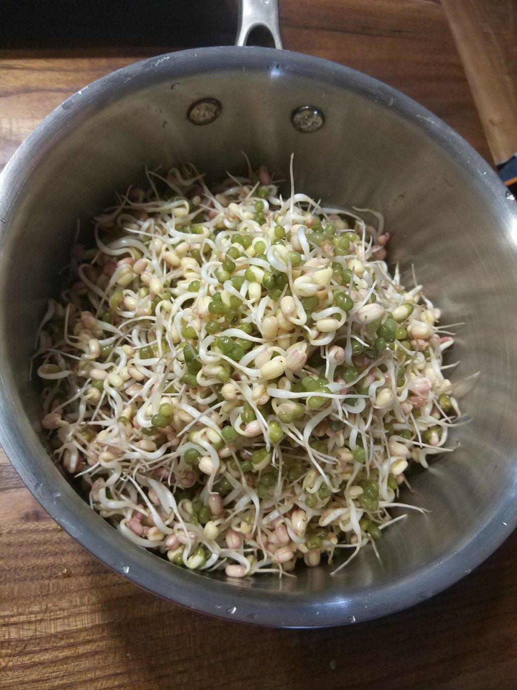 自己发豆芽【果汁盒/大牛奶盒】