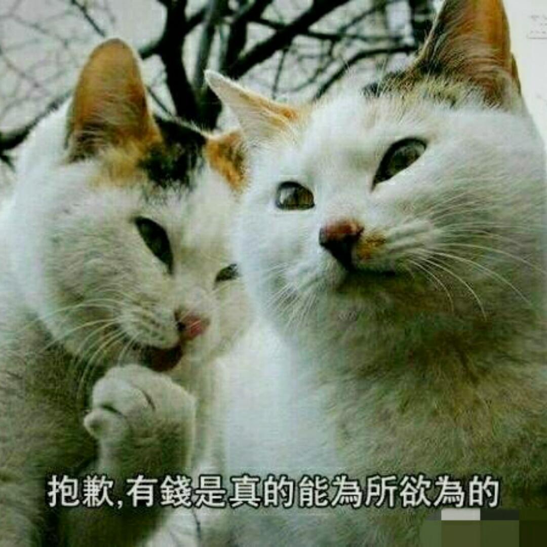 吃吃吃的小桃儿