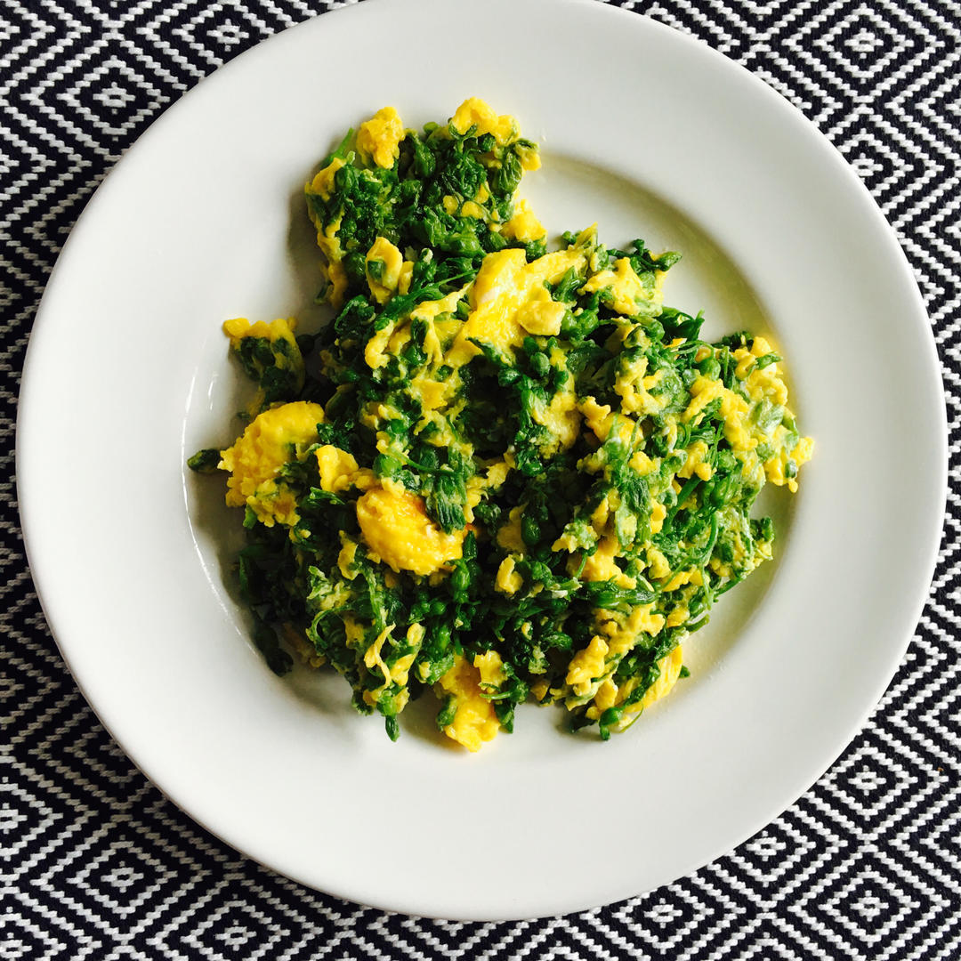 清晨的小麋鹿做的上汤夜香花