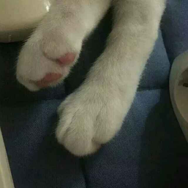 二美3