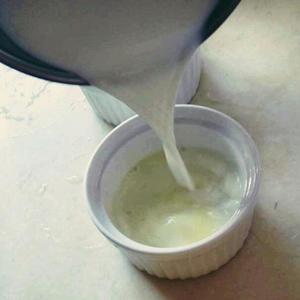 姜撞奶的做法 步骤5