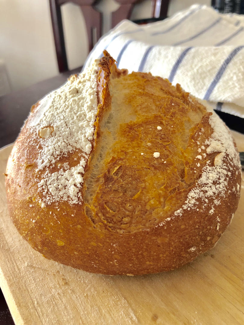 波兰种法式欧包——免揉简单易操作