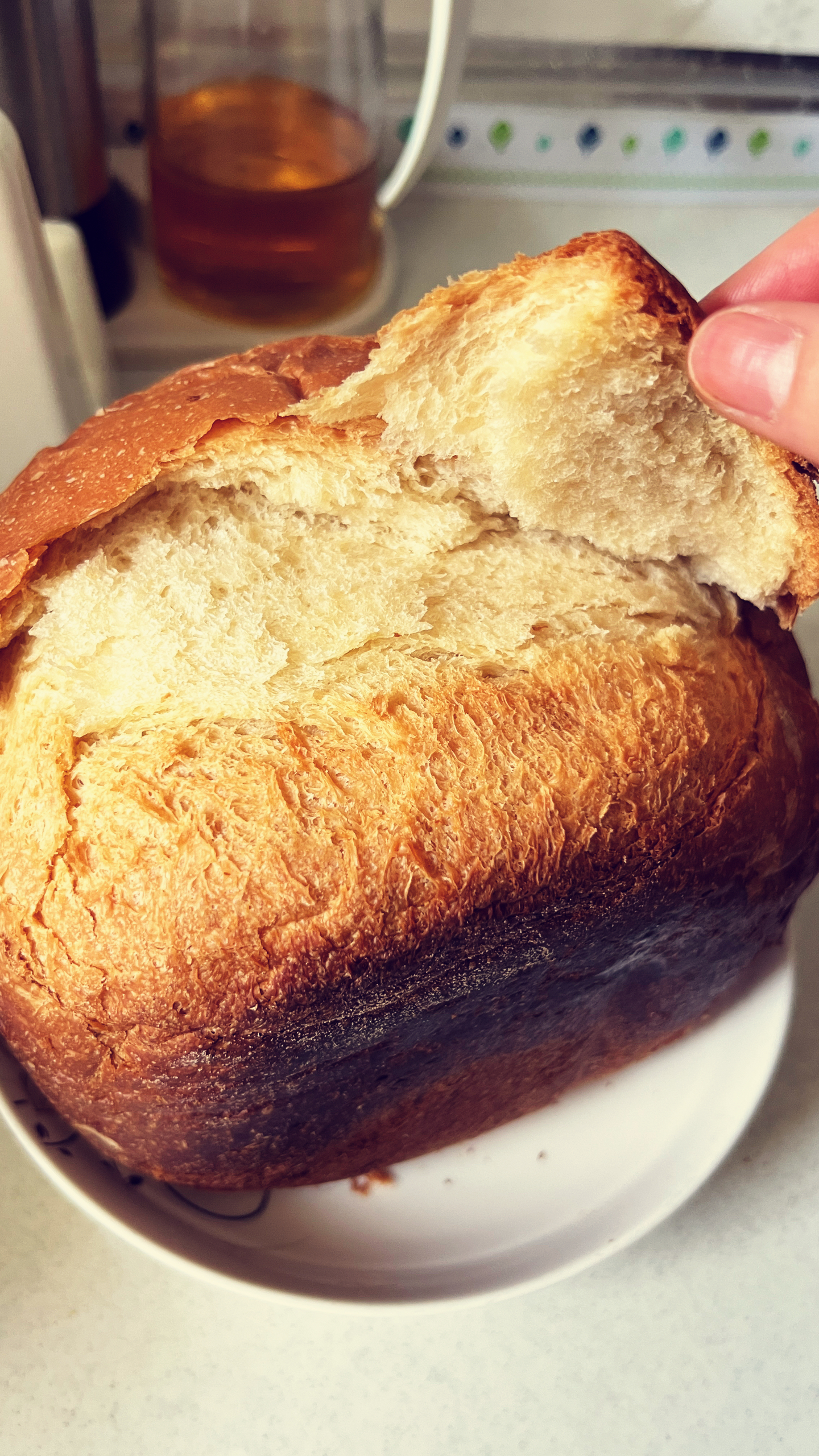 ACA面包机做面包
