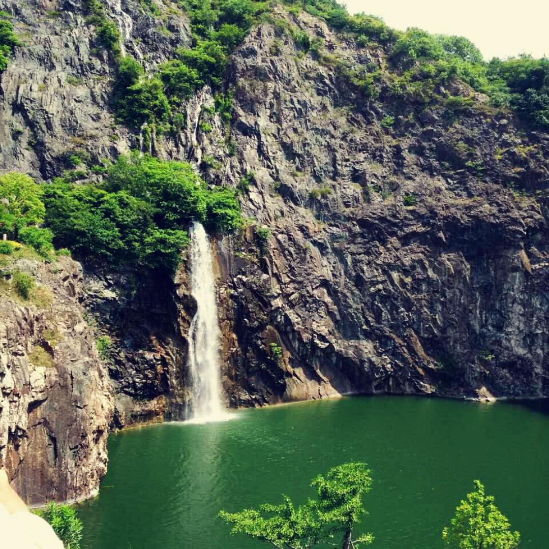 橙甜橙橙