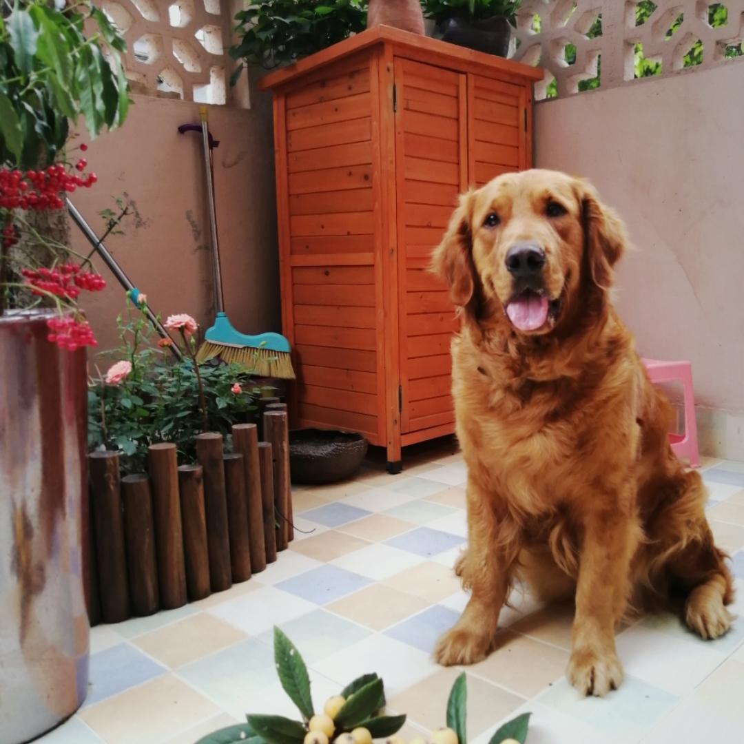 Da叔爱厨房