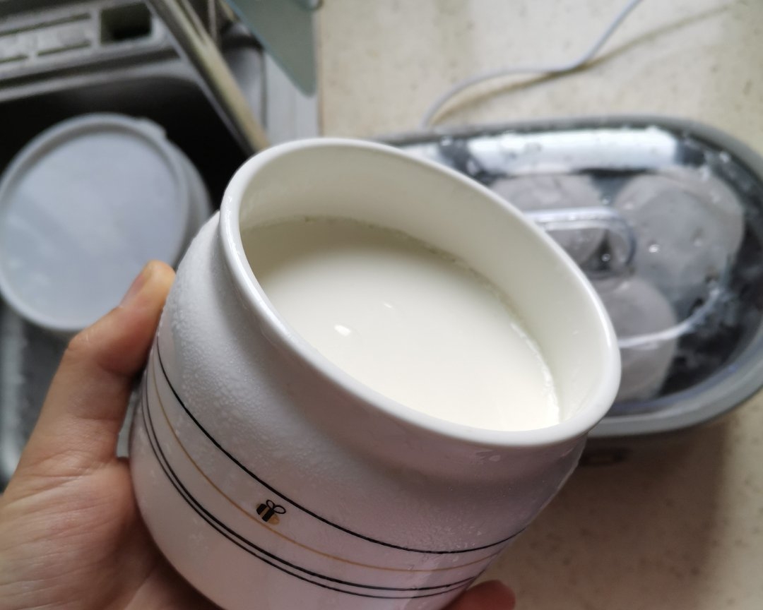 自制酸奶（详细说明）的做法