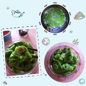 茴香苗三文鱼洋葱饺子(菠菜汁面皮)的做法 步骤2