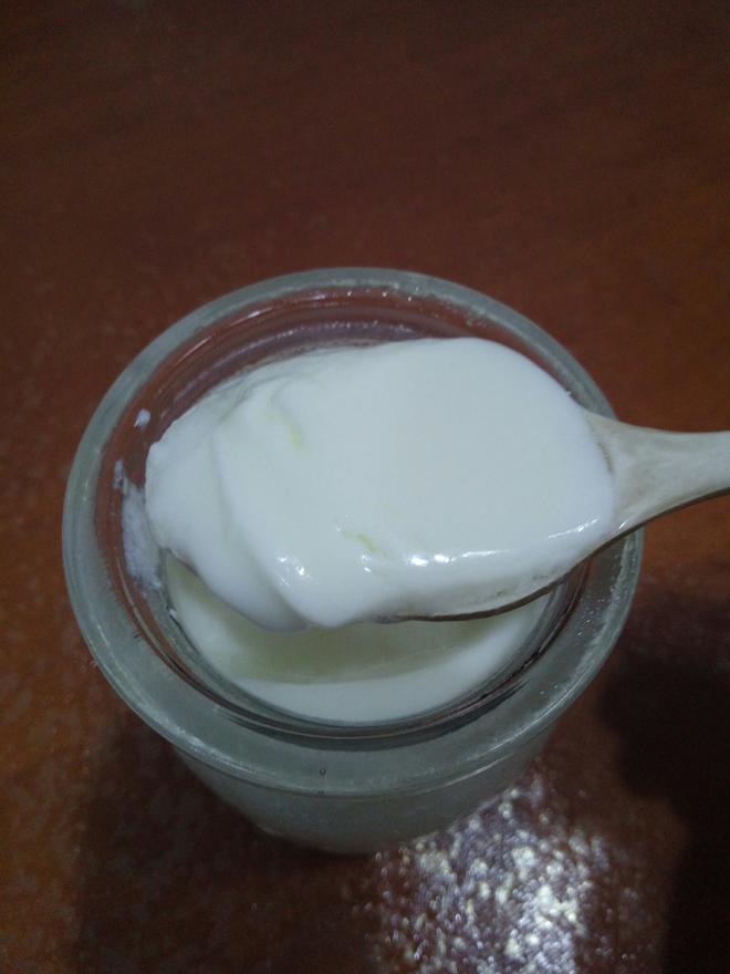 奶粉自制酸奶的做法
