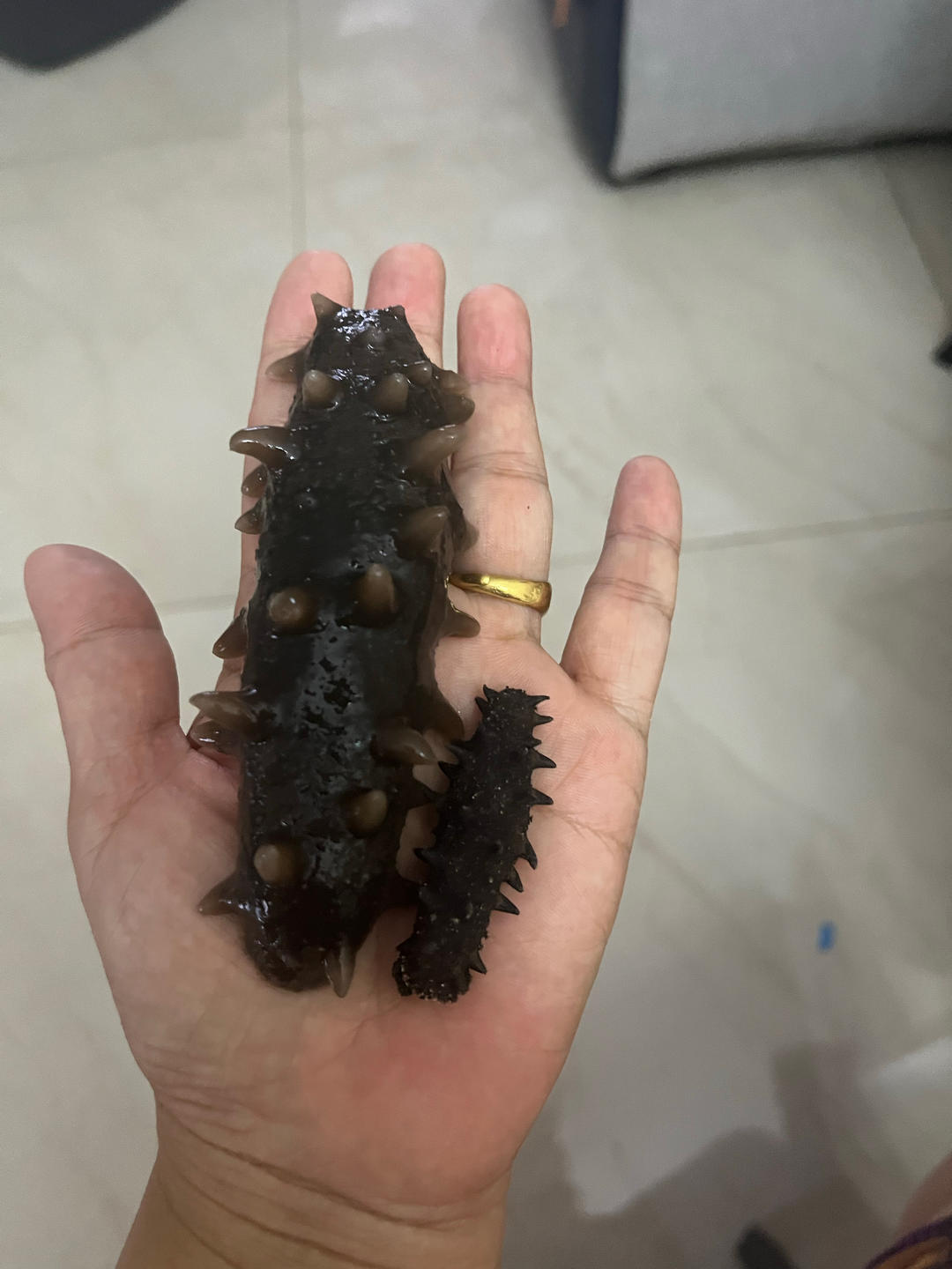教你最正确好用的「海参泡发方法」