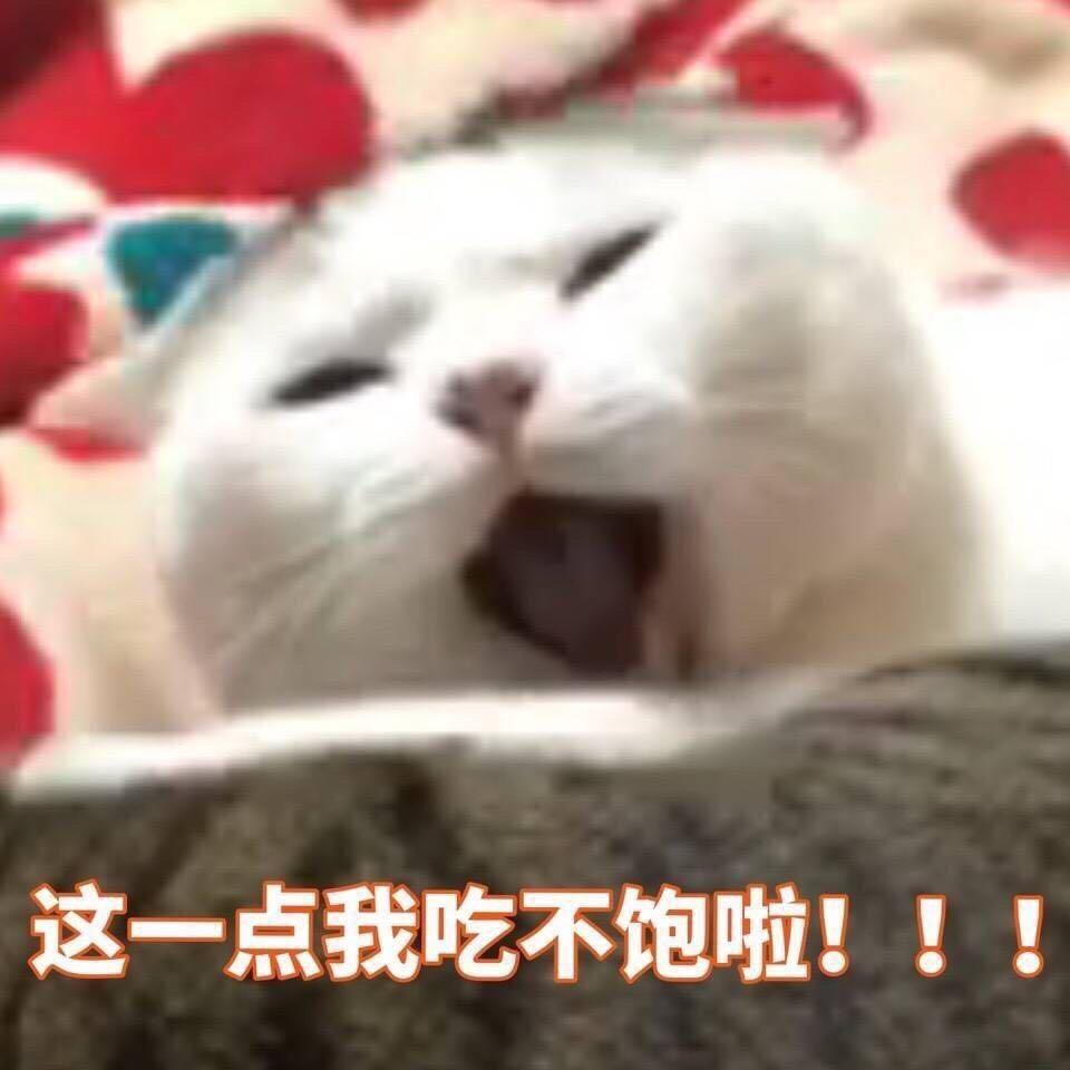 一口一只猕猴桃