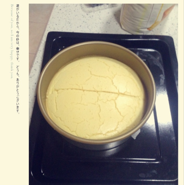 cup cake 纸杯蛋糕 原味