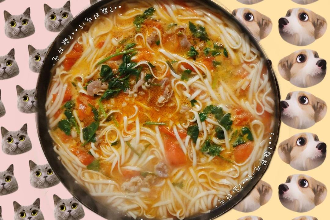 柿子羊肉面的做法