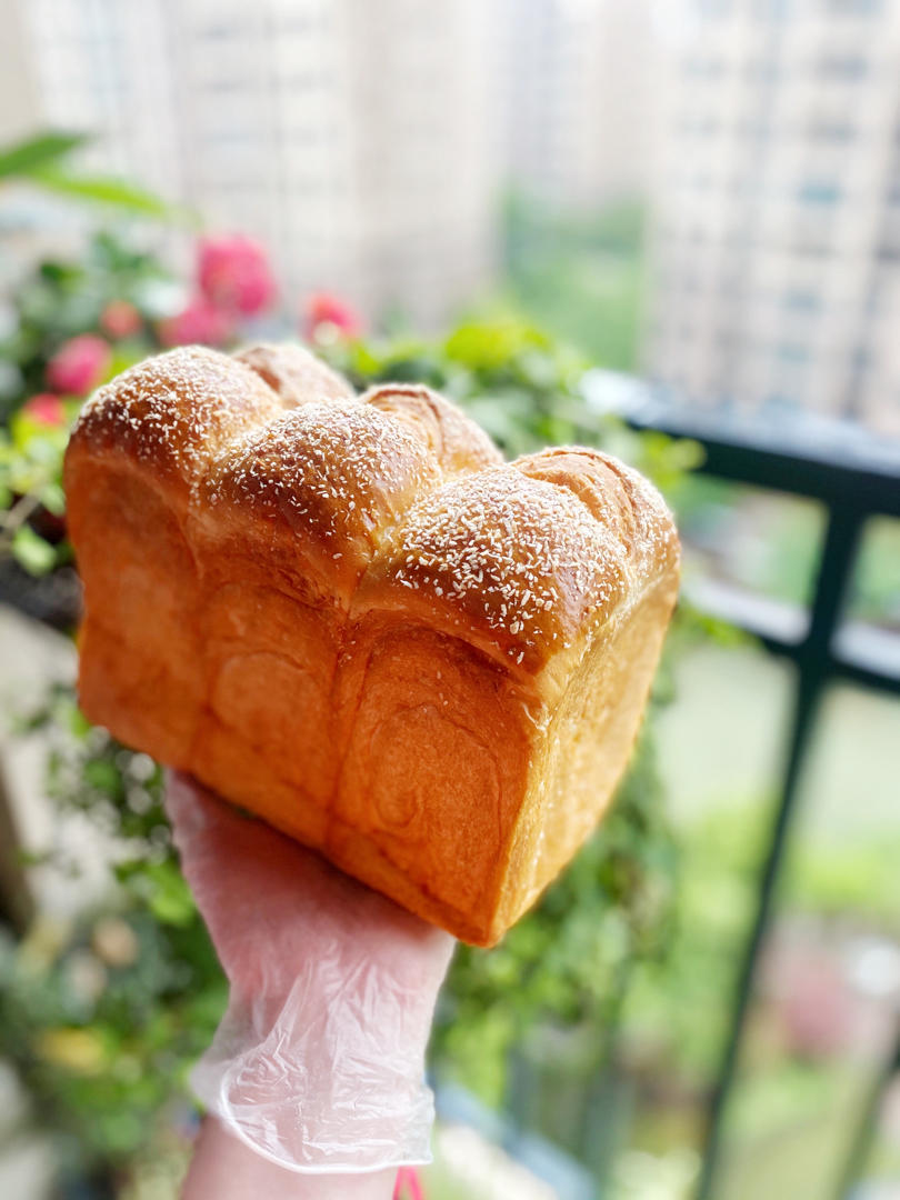 一次发酵-松软拉丝椰蓉排包-椰蓉金砖-椰蓉面包