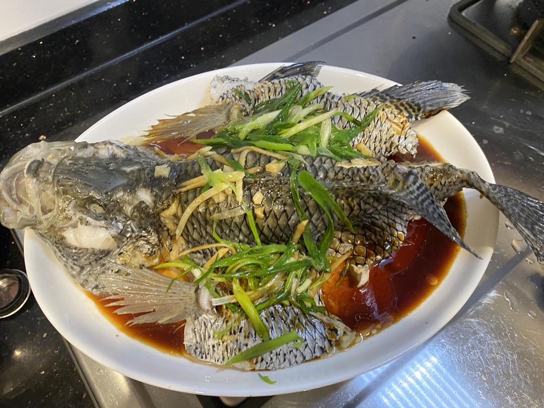 smiyi做的清蒸花斑鱼