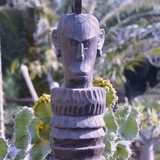 Viki-Feng