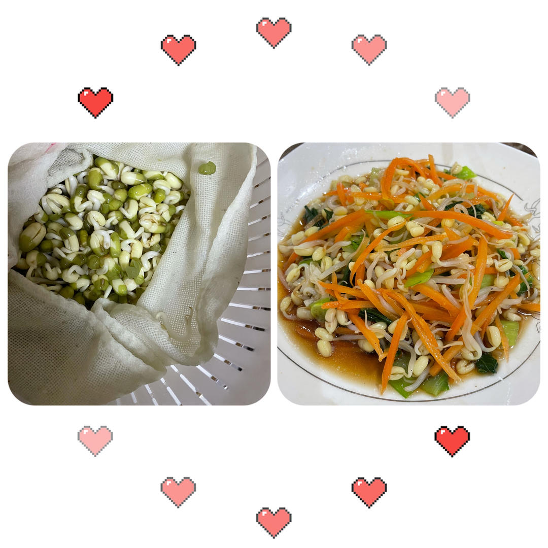 自己在家发豆芽