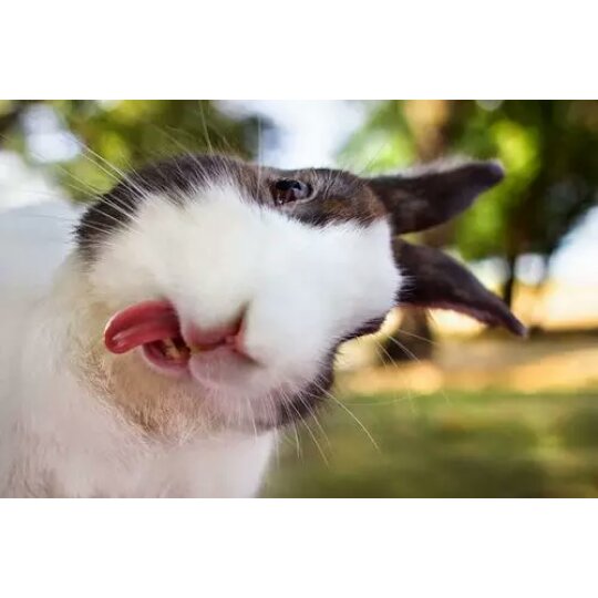 手机用户9531_rt97