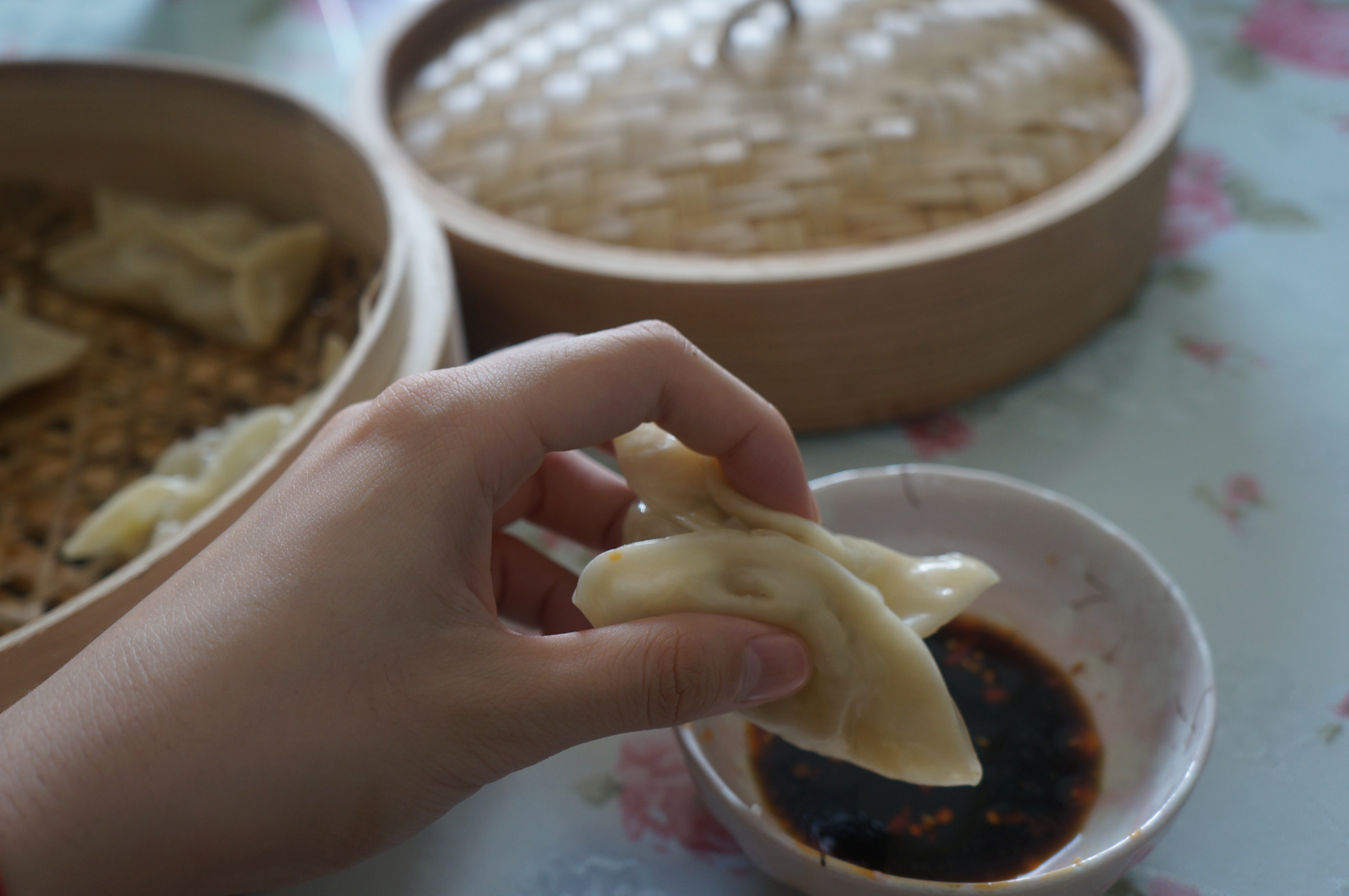 什锦素饺子