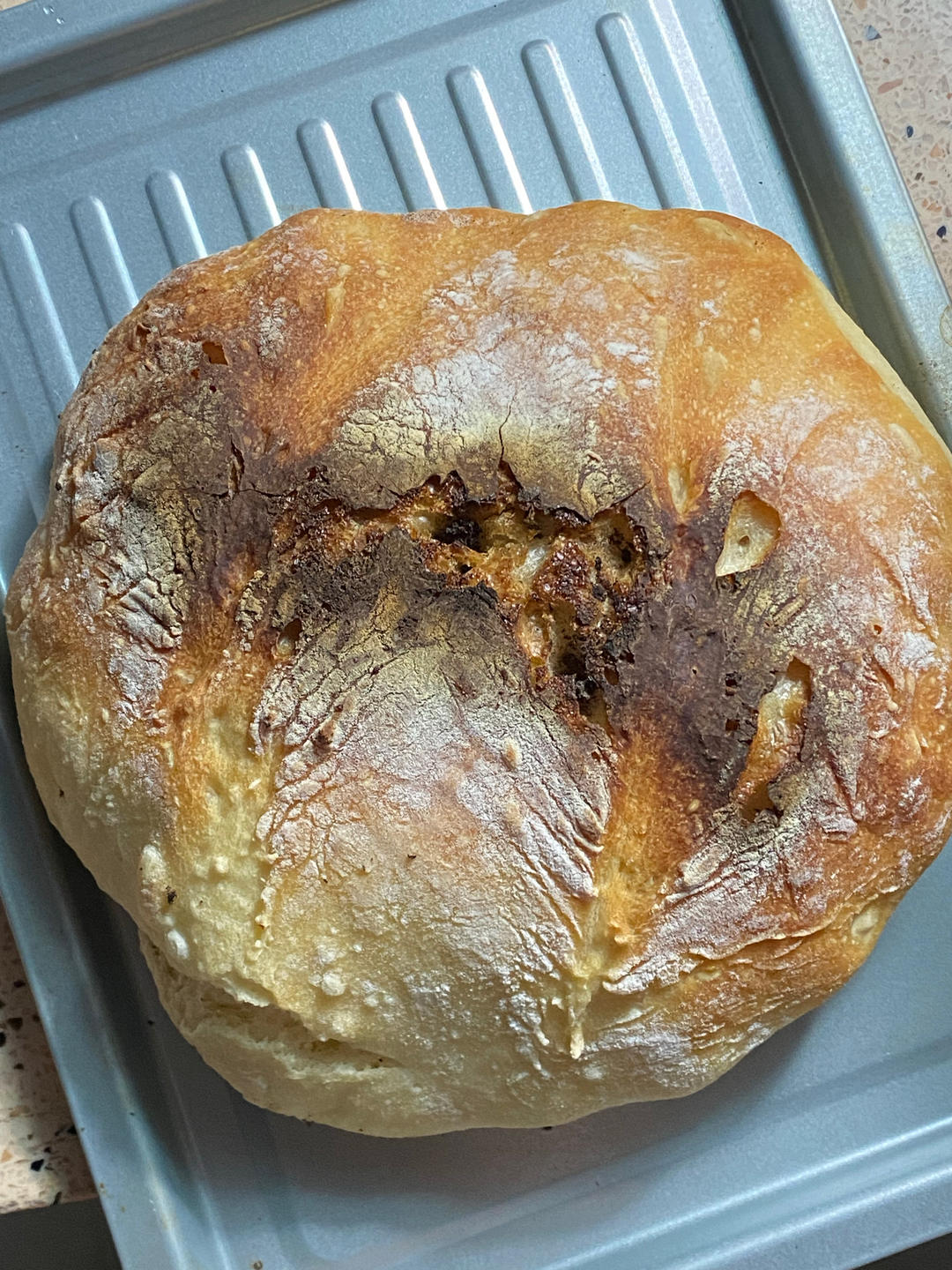 自留 免揉恰巴塔面包机发酵