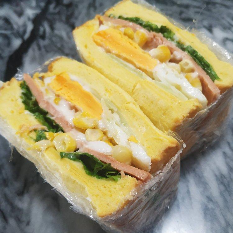 吃一个能饱一天的🥪