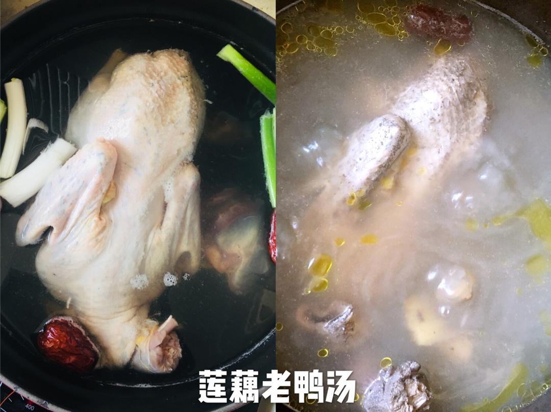 莲藕煲鸭汤