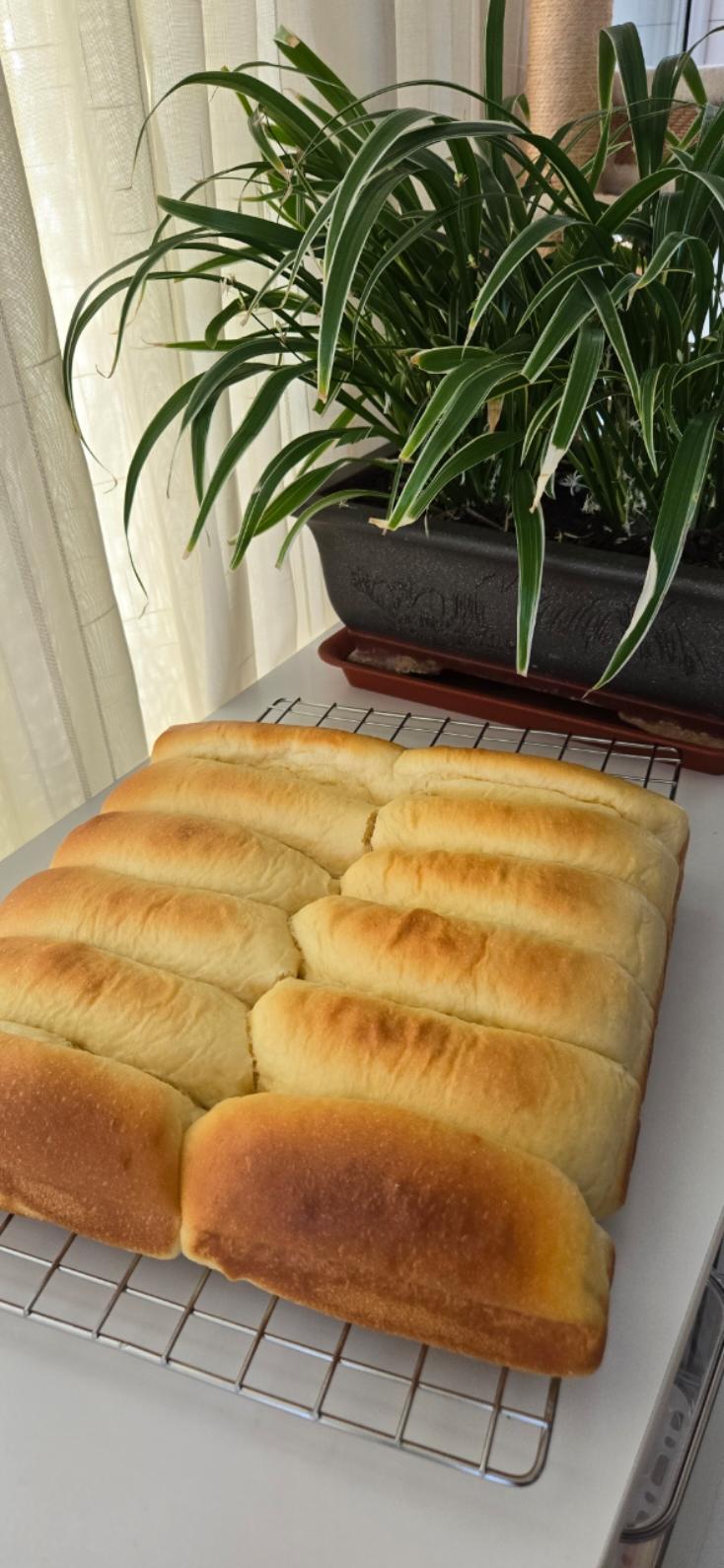 软到扶不起来的经典黄油排包