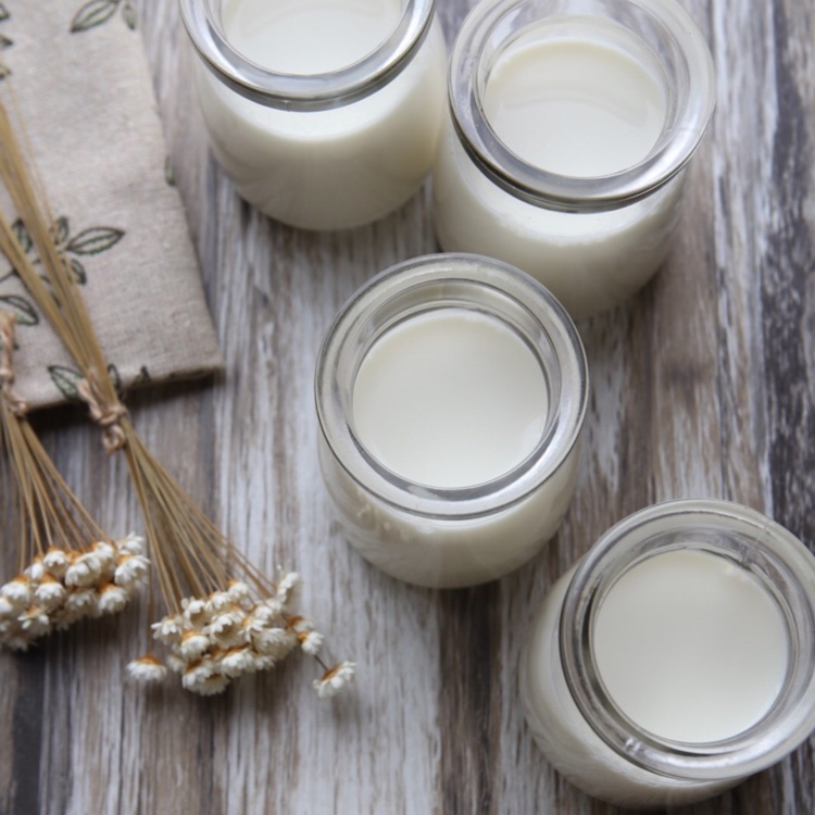 quecy做的椰奶布丁