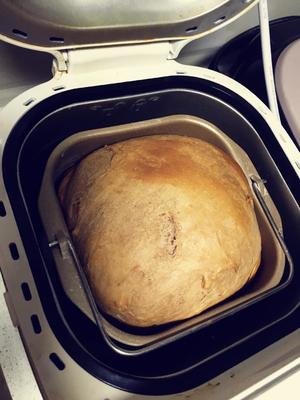 东菱简易面包机 松软Q弹可可面包的做法 步骤5
