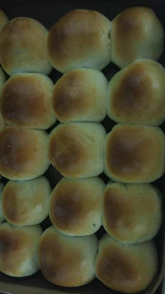 波兰种白吐司