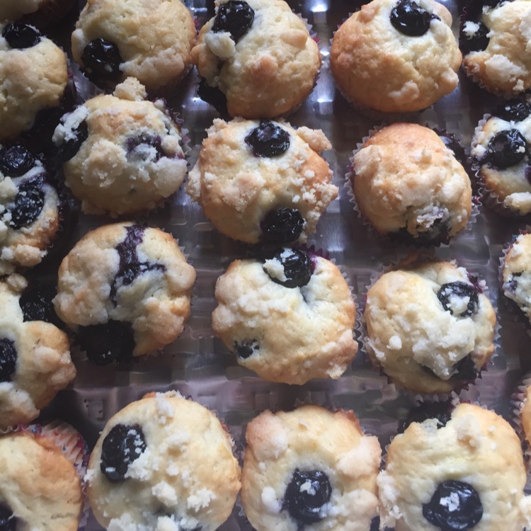 PH大师的蓝莓马芬